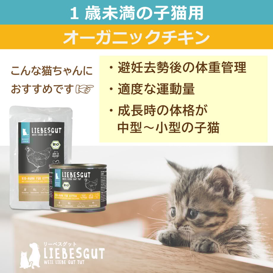 638eb1cd18324e6816413c57