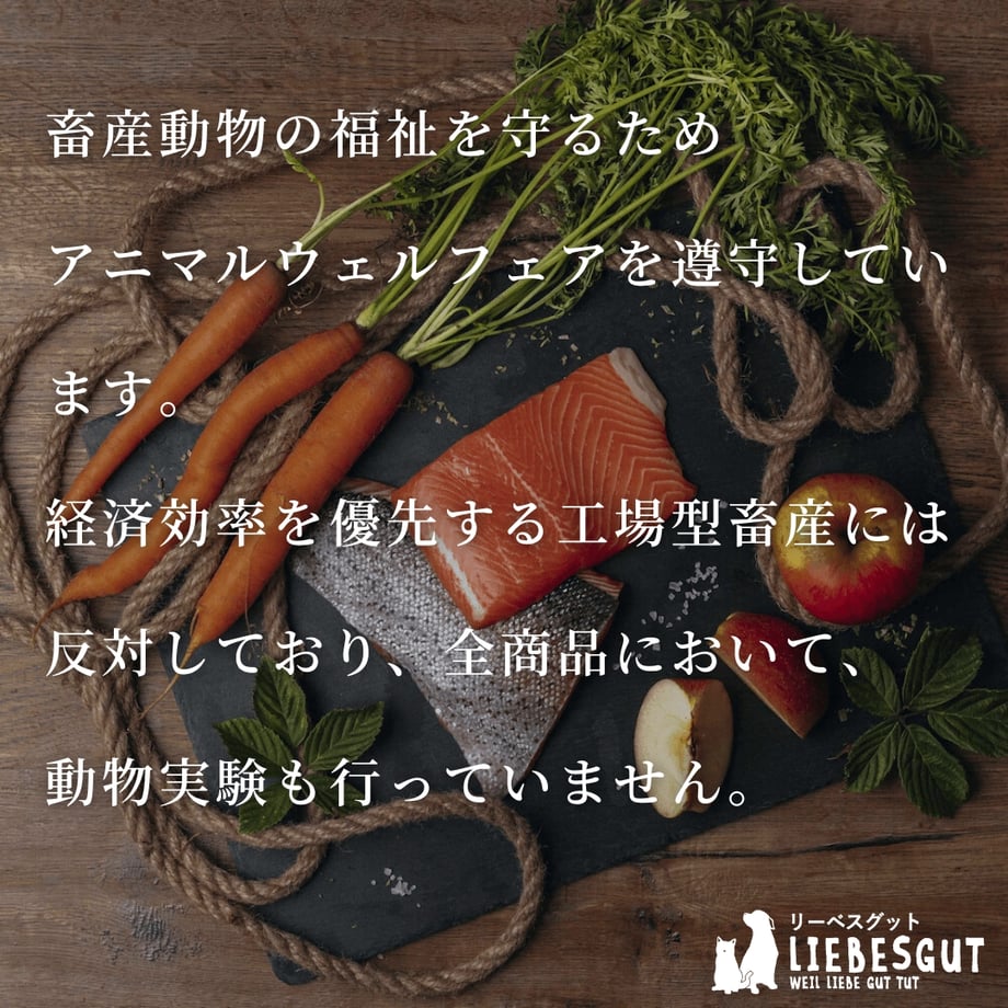 6380c7e853ee8d00015c8249