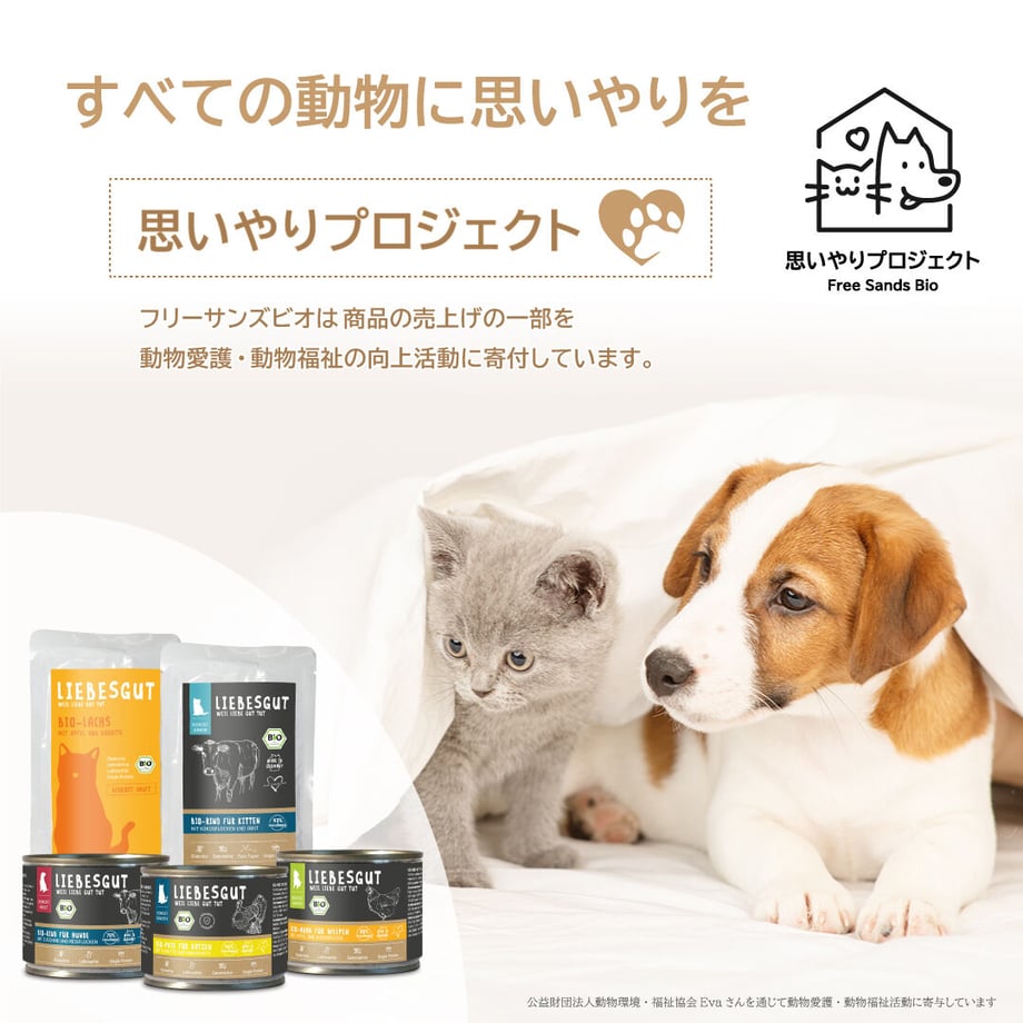 638eb2d9f405a17041d36caa