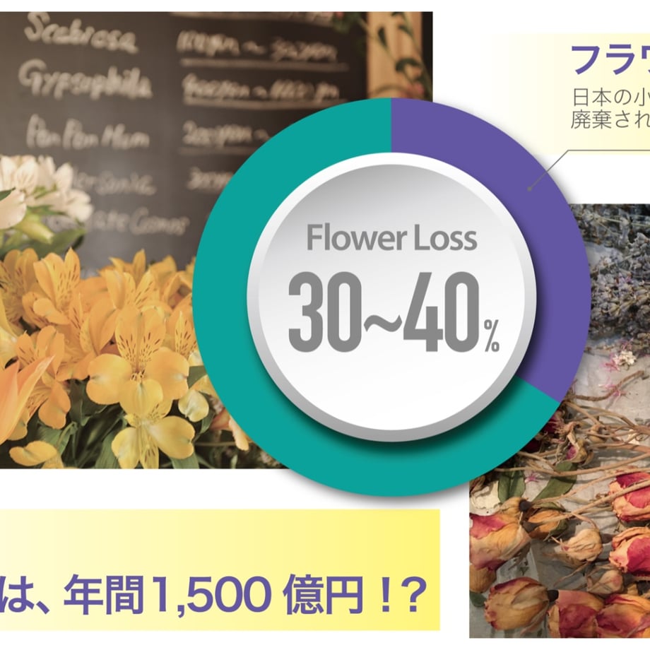 665580bd1f94950a8ede5082