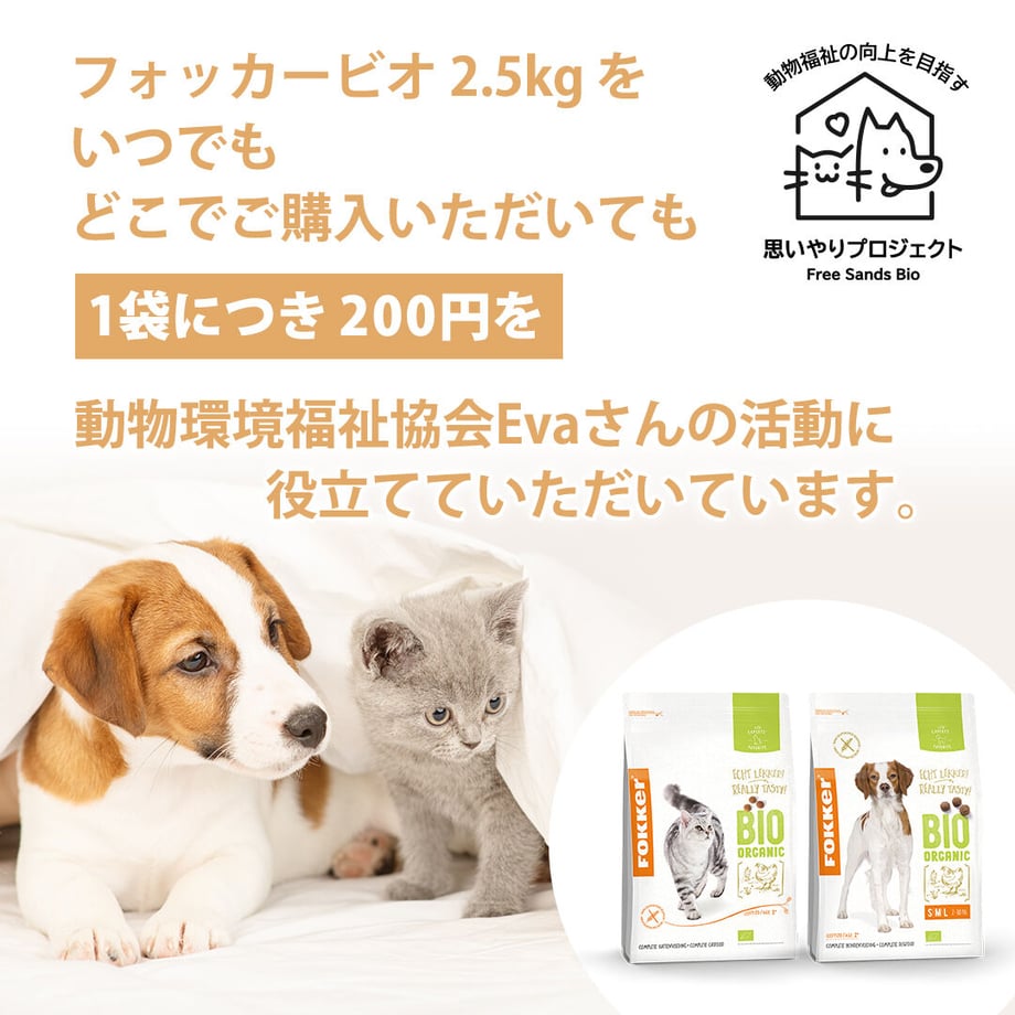 64ad12fa81cb29002b3fd5bf