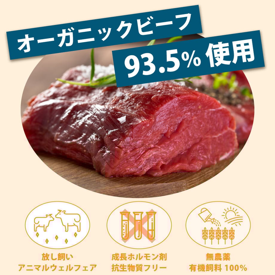 6386e0a041e8c0412f2f33fe