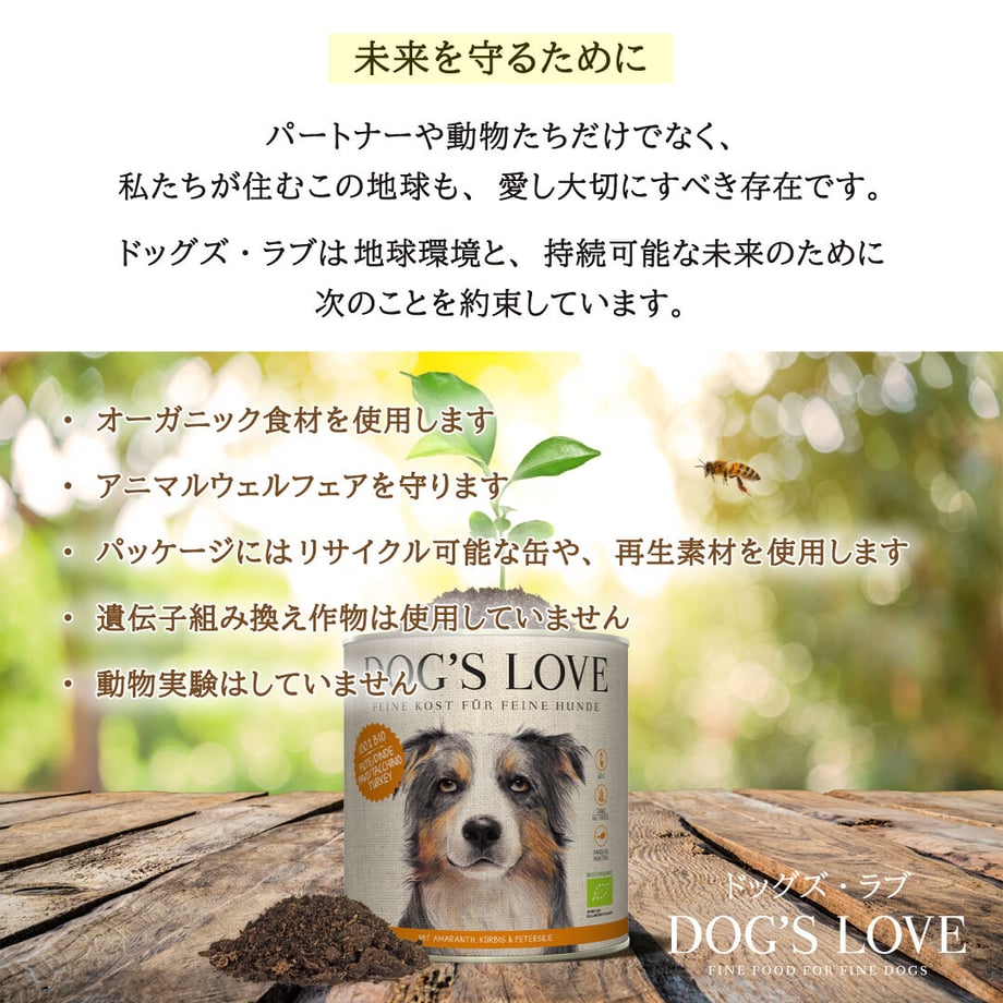 609e86d5f8440a13a63f1268