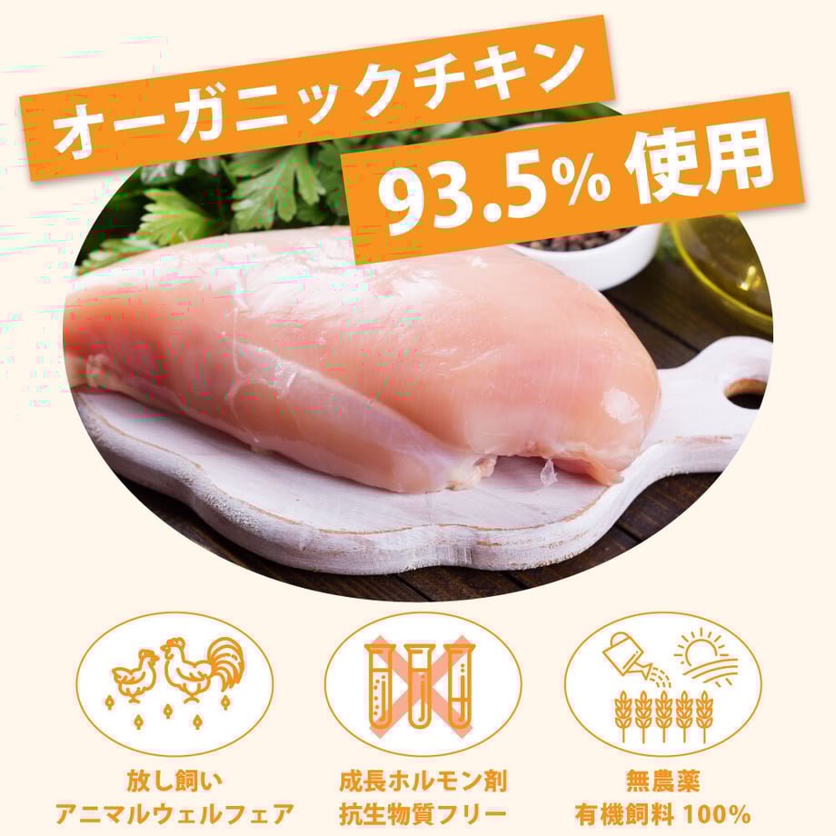 6380c7ed53ee8d00015c8267