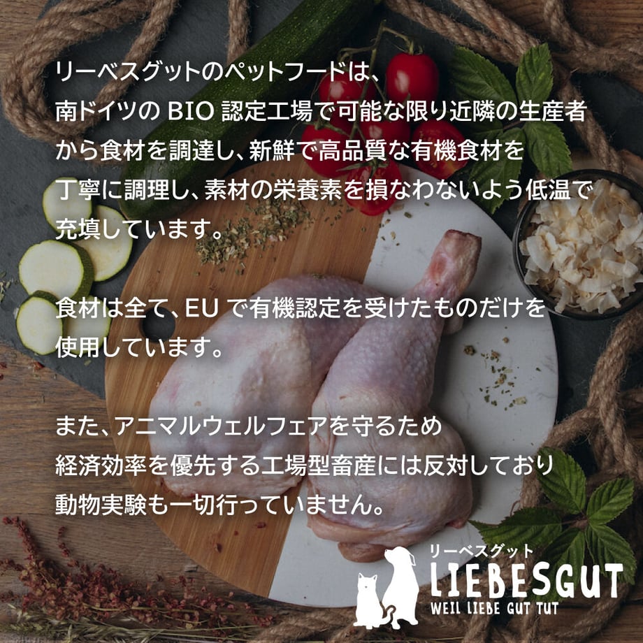 6380c7eb53ee8d00015c8261