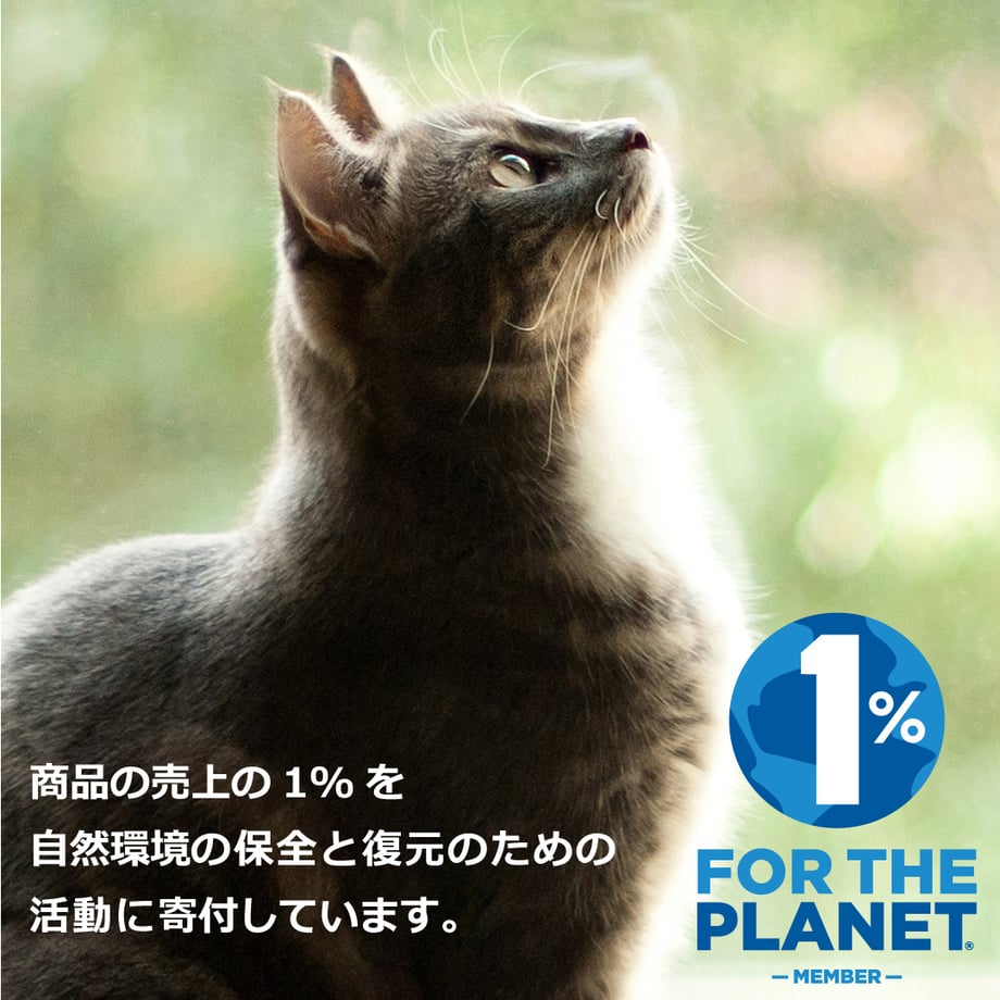 6380c7ed53ee8d00015c8267