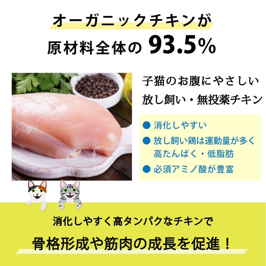 638eb1cd18324e6816413c57