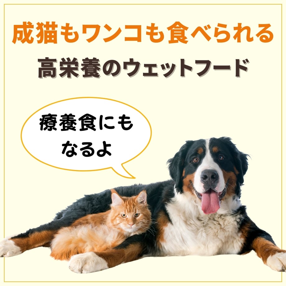 638eae983a327e731880ee68