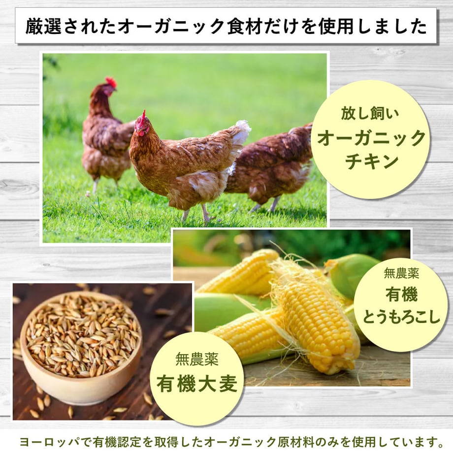 64ad12fa81cb29002b3fd5bf