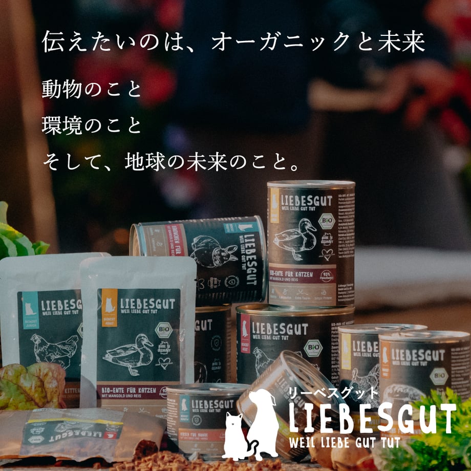 638eb1cd18324e6816413c57