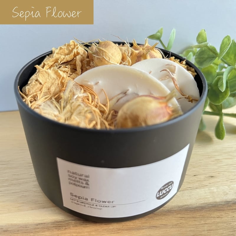 ソイワックス・メルツ＆ポプリ | フリーサンズビオ公式オンラインストア