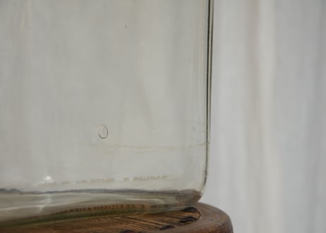 ガラスの四角い水槽