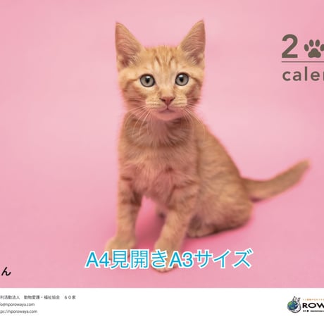 2024年チャリティー保護猫カレンダー 壁掛け A4見開きA3サイズ