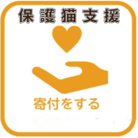 保護猫支援　１口５００円☆