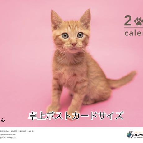 2024年チャリティー保護猫カレンダー 卓上ポストカードサイズ