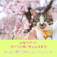 ６０家サポーター ～すべての猫に幸せな未来を～  みんなで繋ごう命のバトンプロジェクト 1口¥500〜