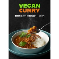 ヴィーガンカレー 体や環境に優しい！動物性原材料不使用！ベジニャンカレー 食べやすくて美味しい！