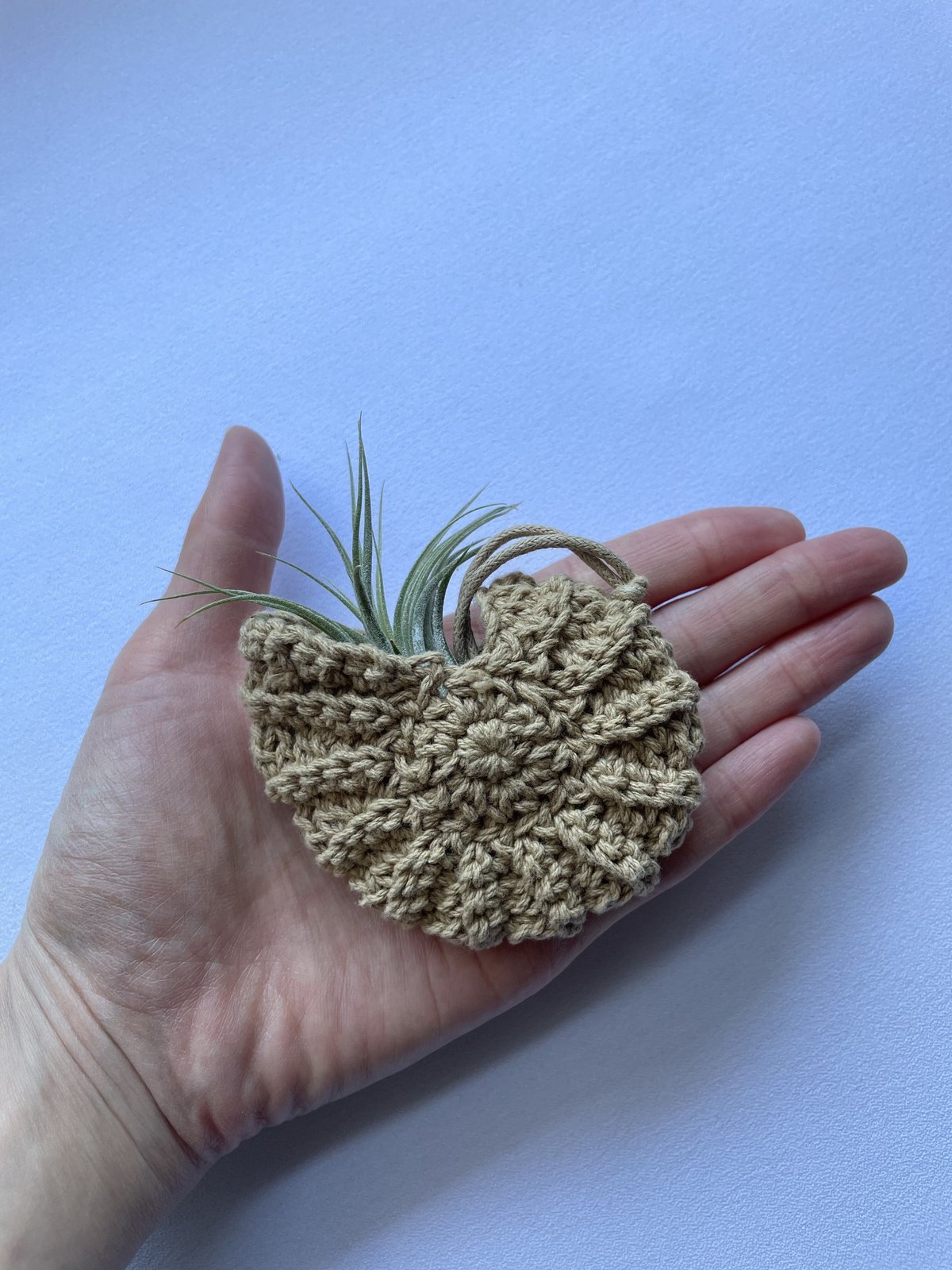 ★アンモナイト小物入れ 138.0gB(SA+) ☆アンモナイト小物入れ 138.0gB(SA+)