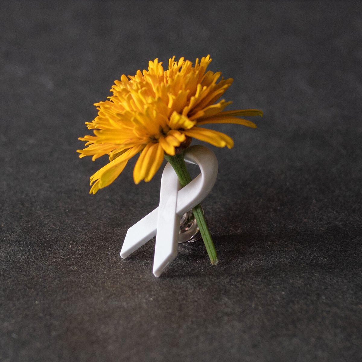 ホワイトリボンブートニエール | JOICFP（ジョイセフ）