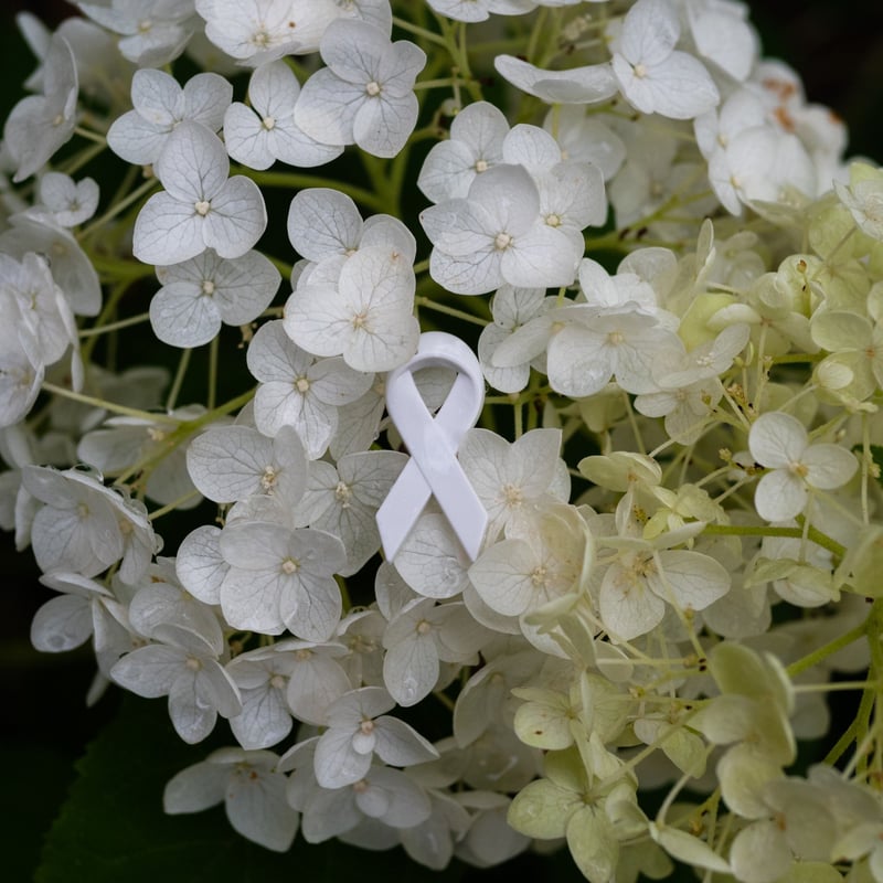 ホワイトリボンブートニエール | JOICFP（ジョイセフ）