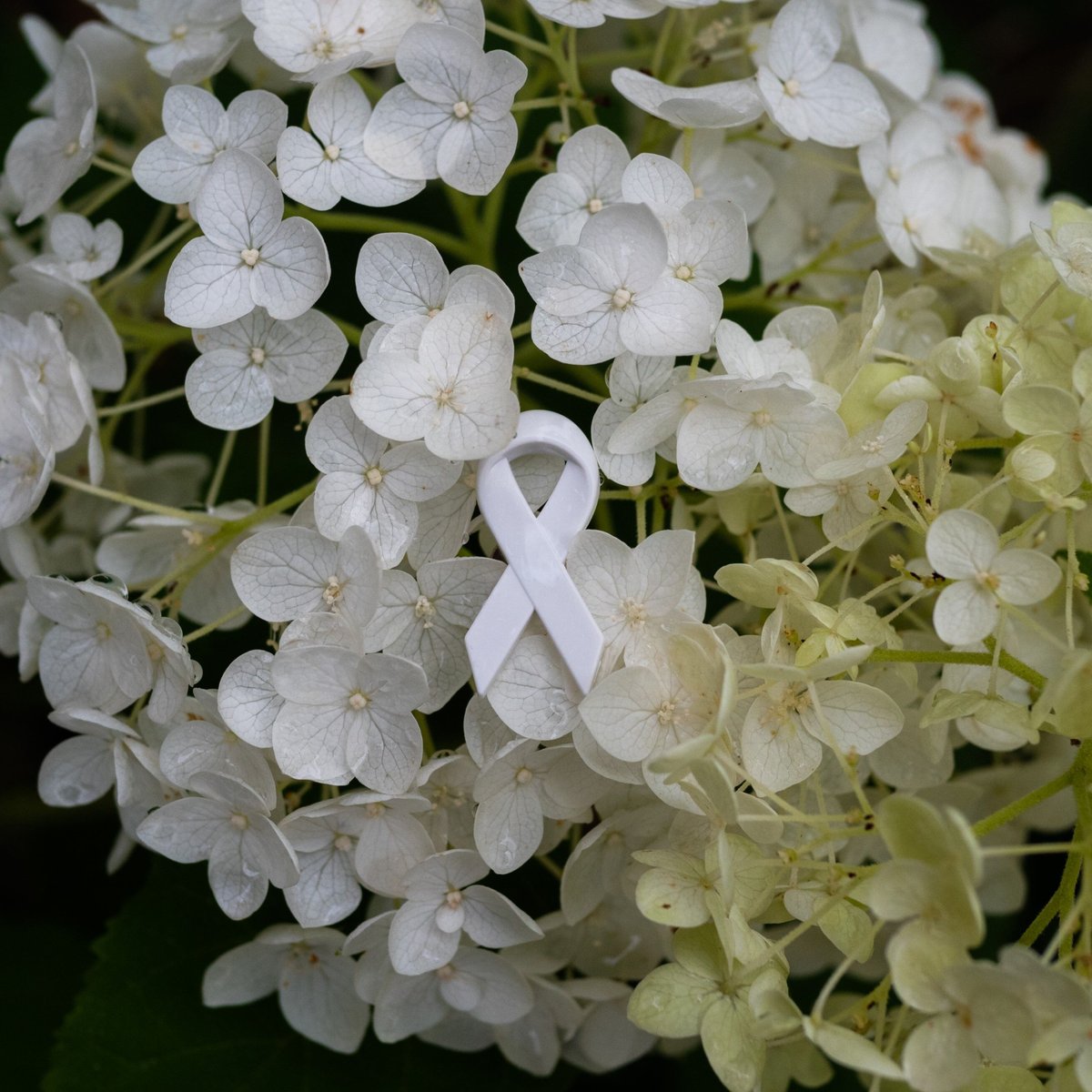 mk　　りぼんブートニエール JELLY BEANS（ジェリービーンズ） ハンドバッグ ノットリボンハンドル