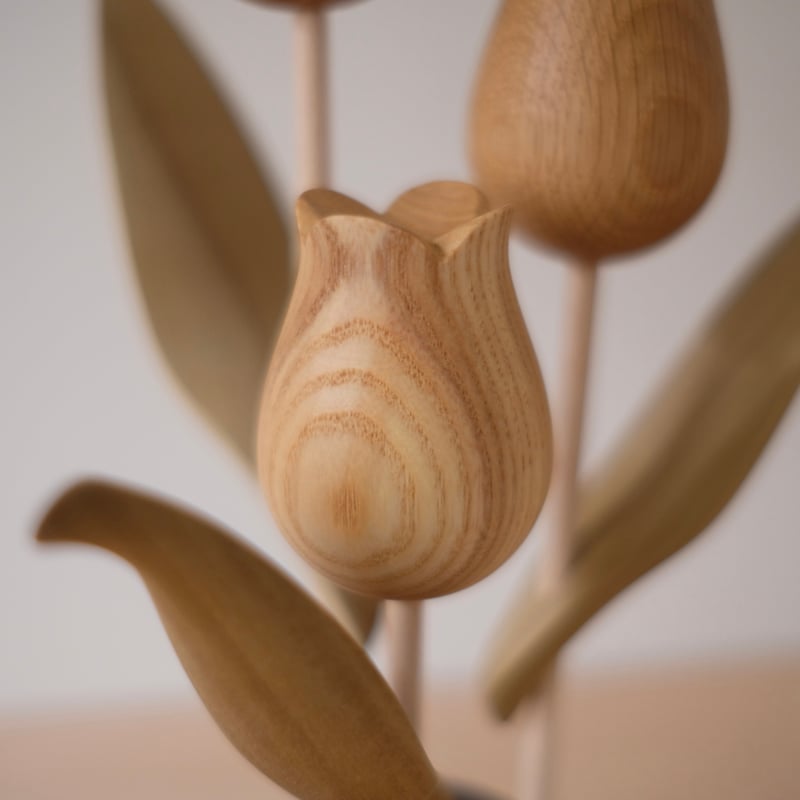 チューリップ 色違い ウォールナット | 大石浩介