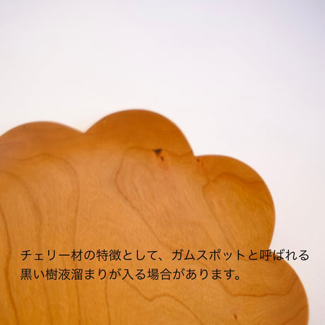 フラットミニスカラッププレート