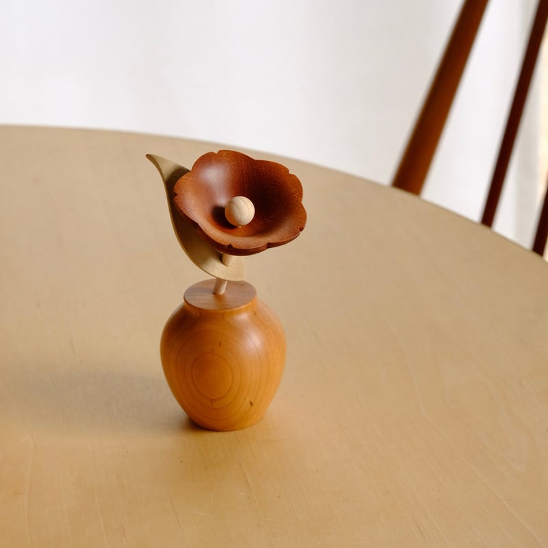 kikka ツバキ | 大石浩介