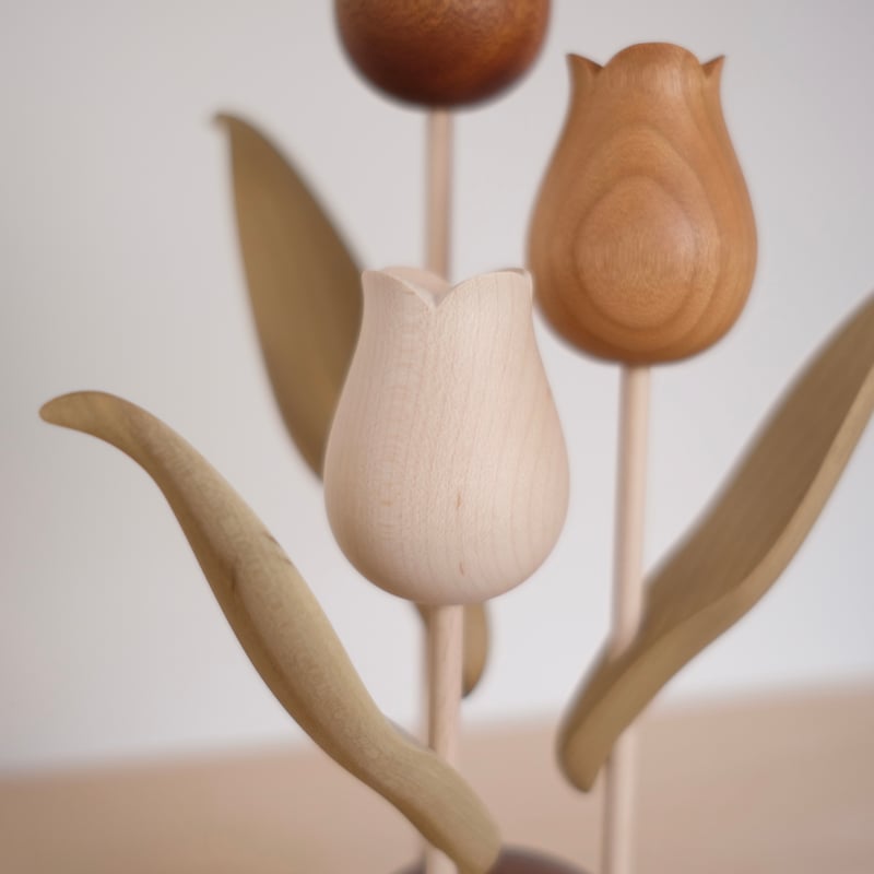 kikka チューリップ 大石浩介 チューリップ 色違い | 大石浩介