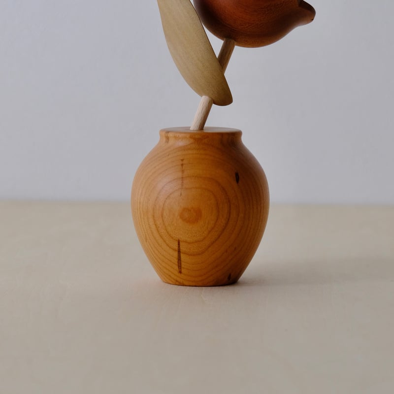 kikka ツバキ | 大石浩介