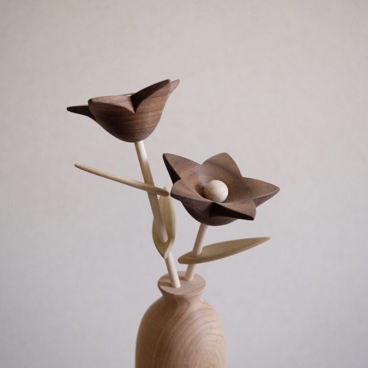 kikka キキョウ | 大石浩介