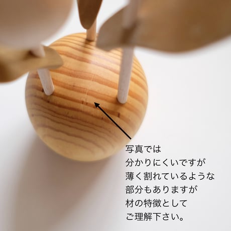 kikka　チューリップ
