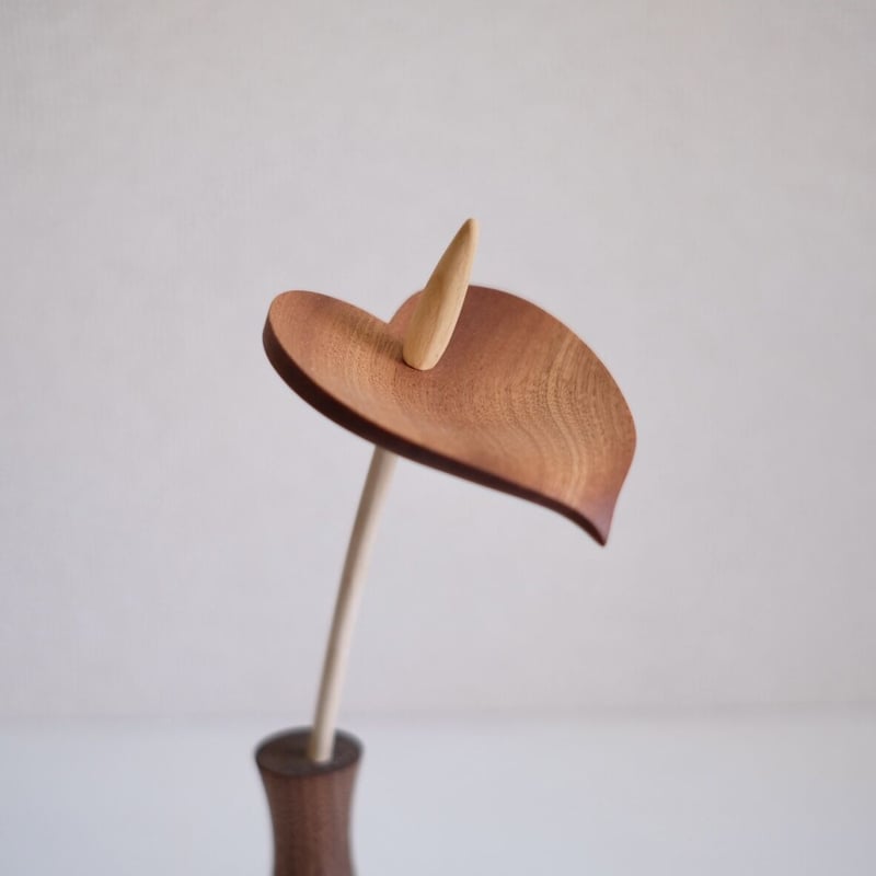 kikka アンスリウム | 大石浩介