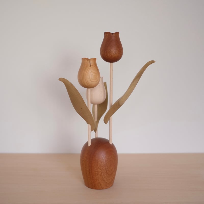 チューリップ 色違い | 大石浩介