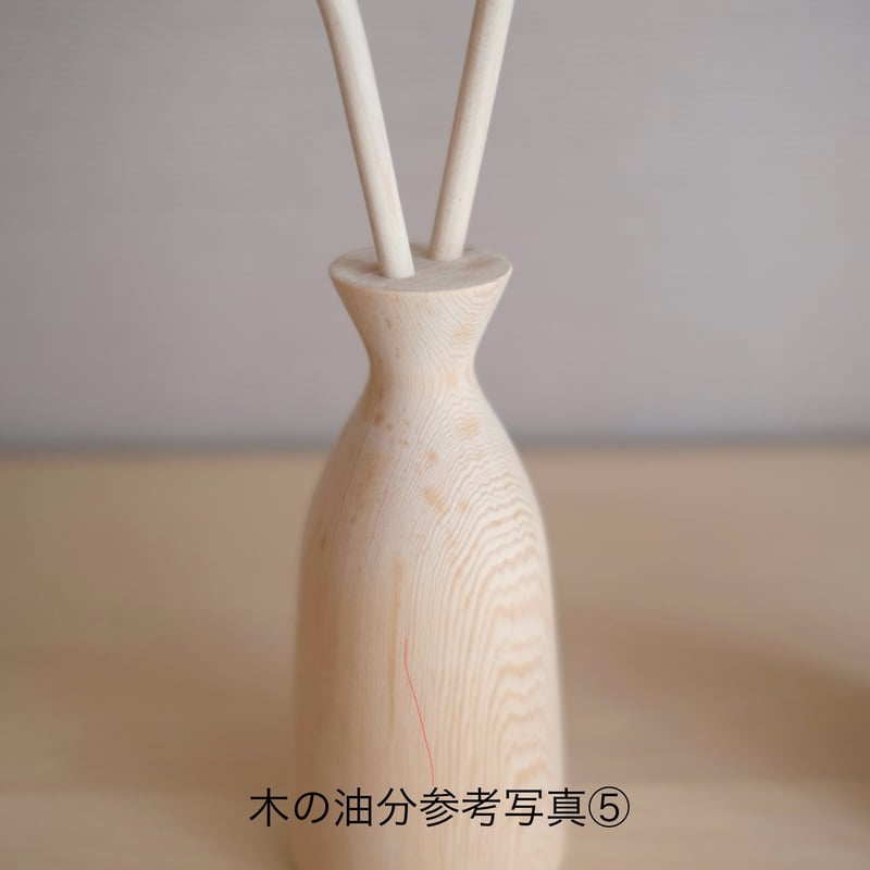 kikka ガーベラ | 大石浩介