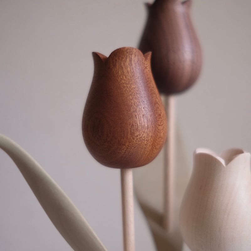 【新品】kikka チューリップ  kotun kikka チューリップ | 大石浩介