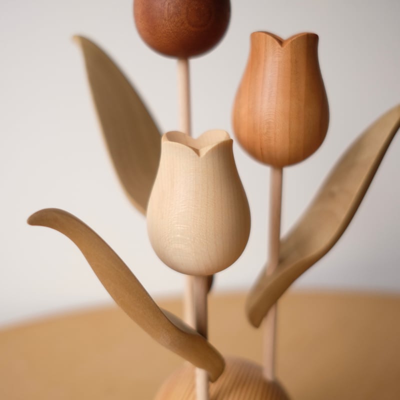 チューリップ  S3fe7eebd2b6f44188c0086d36dcbc