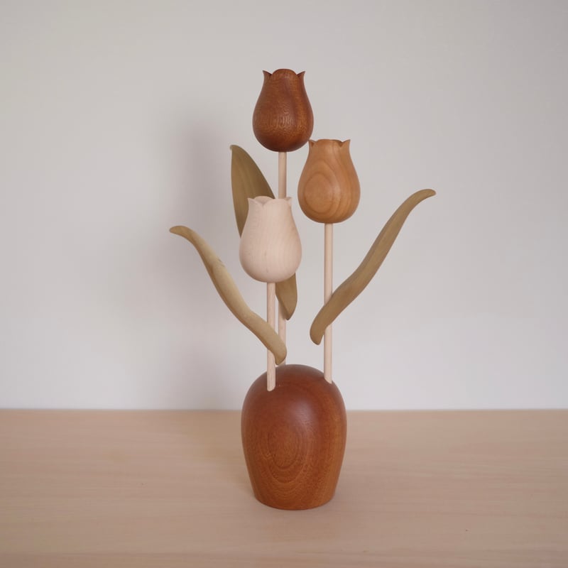 チューリップ 色違い | 大石浩介