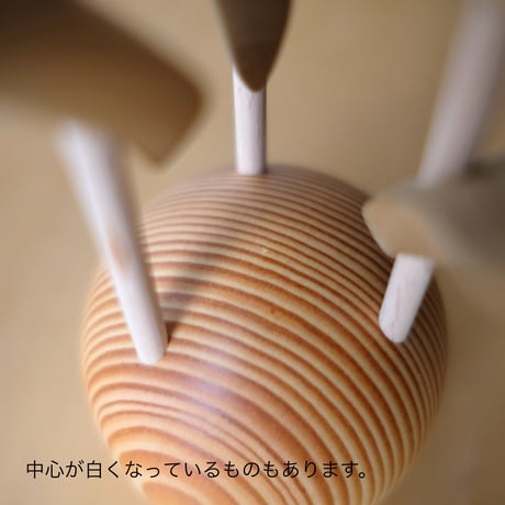 kikka　チューリップ
