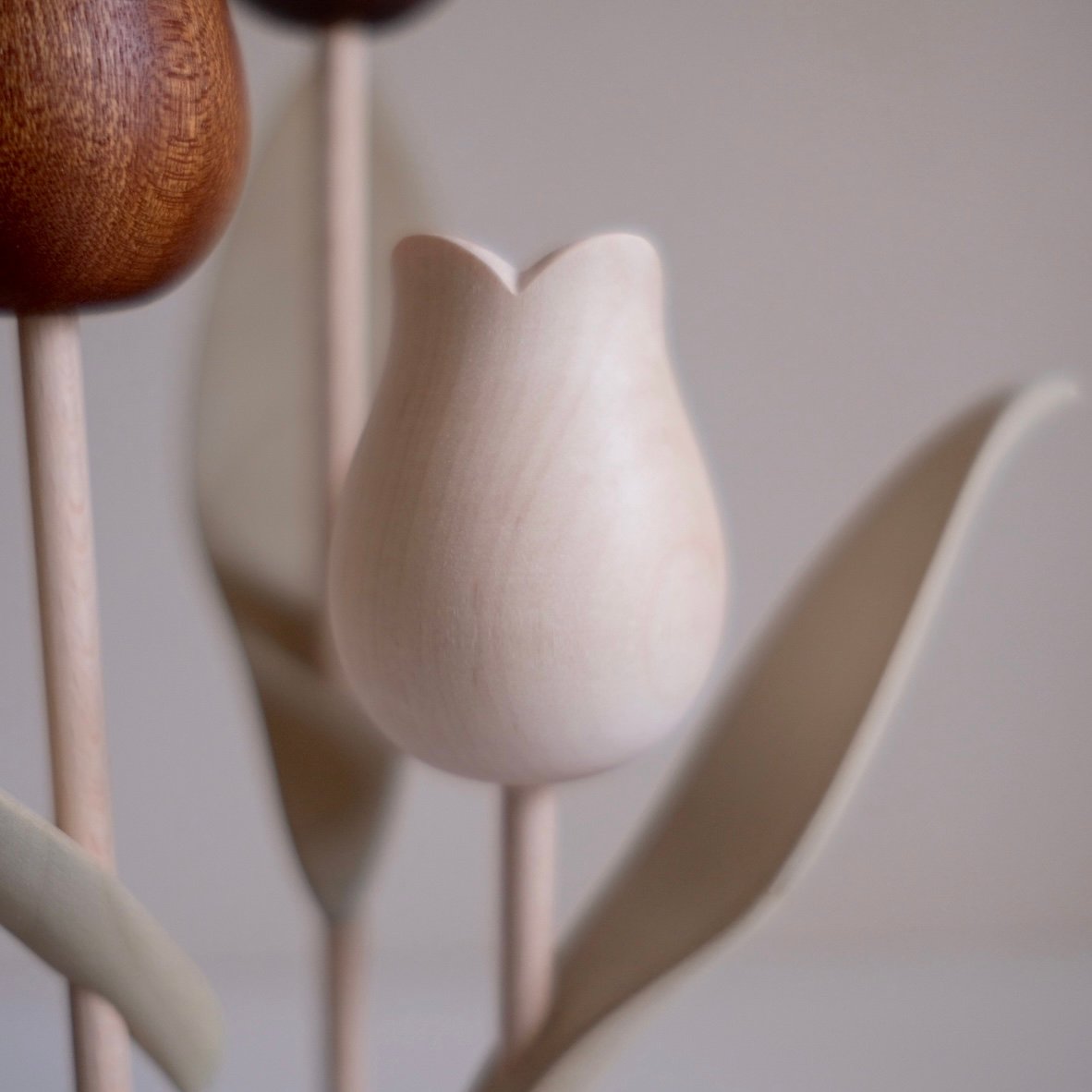 kikka チューリップ 大石浩介 kikka チューリップ | 大石浩介