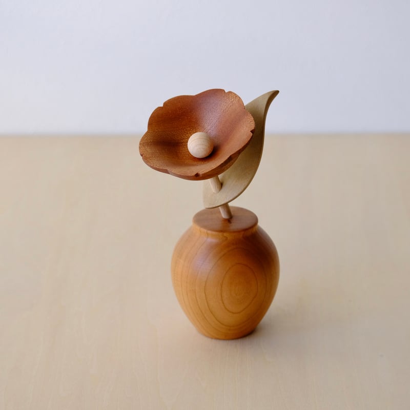 kikka ツバキ | 大石浩介