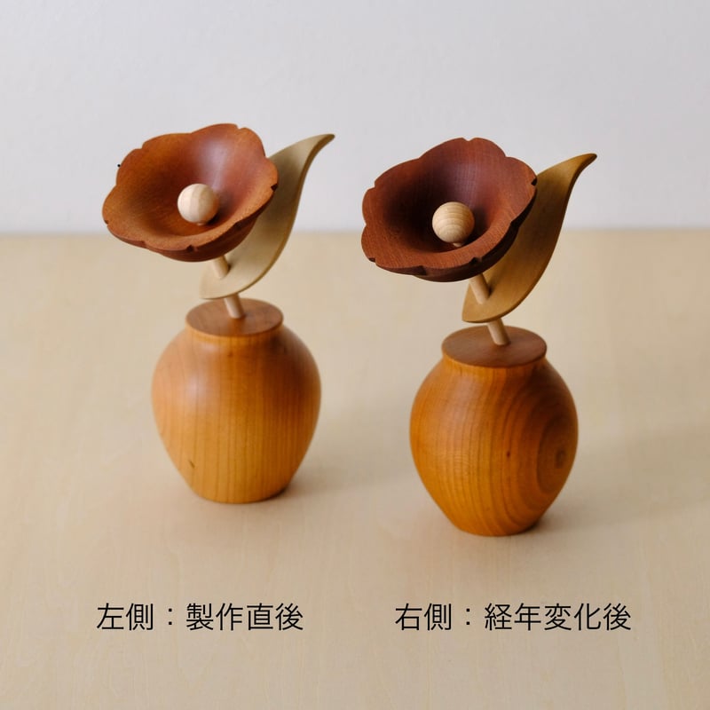 kikka ツバキ | 大石浩介