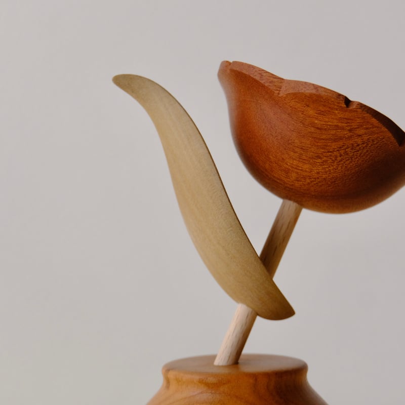 kikka ツバキ | 大石浩介