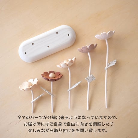 kikka　コスモス