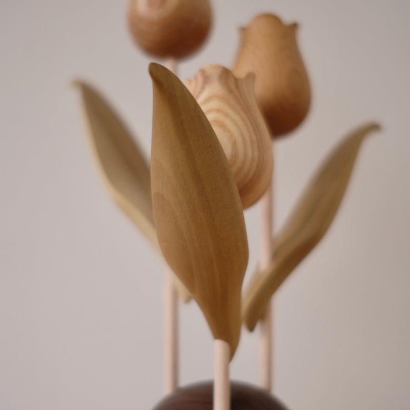 チューリップ 色違い ウォールナット | 大石浩介