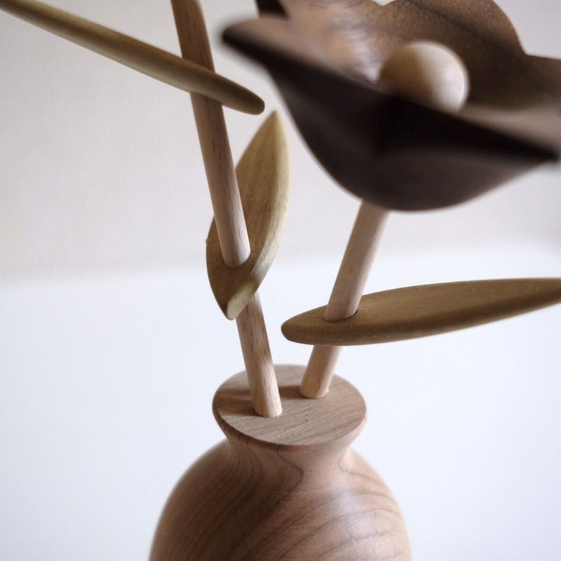 kikka キキョウ | 大石浩介