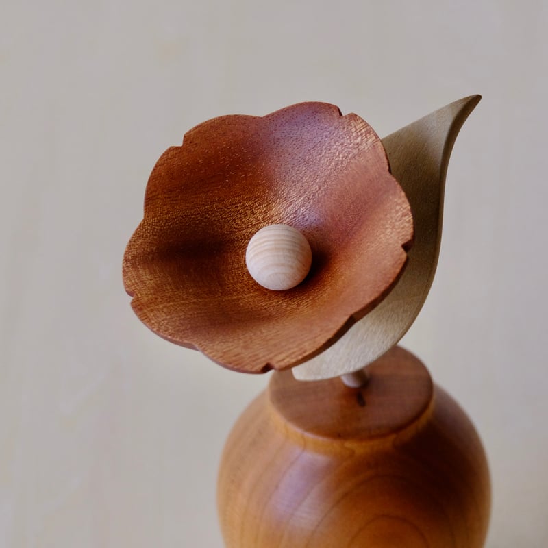 kikka ツバキ | 大石浩介