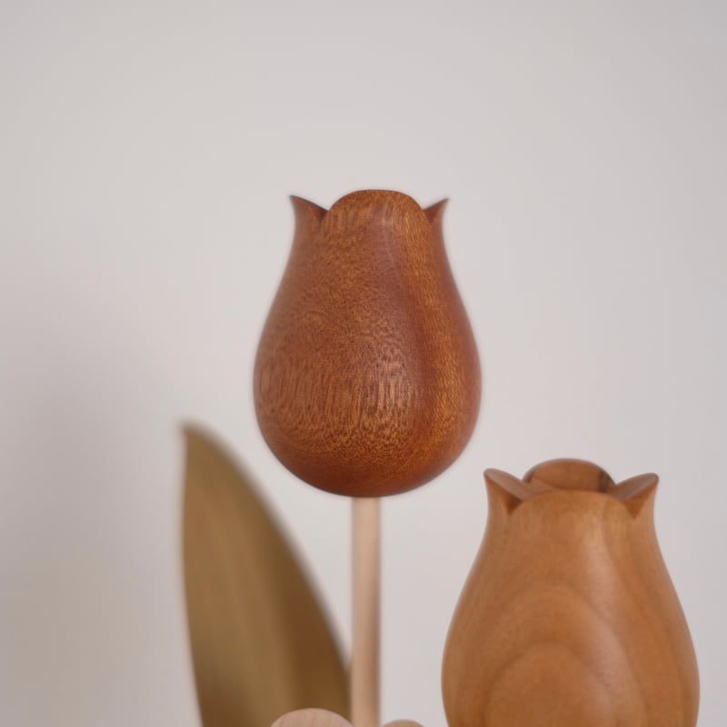 kikka チューリップ 大石浩介 kikka チューリップ ウォールナット kikka チューリップ 大石浩介 kikka チューリップ ウォールナット