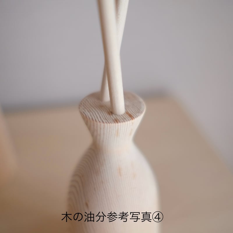 kikka ガーベラ | 大石浩介