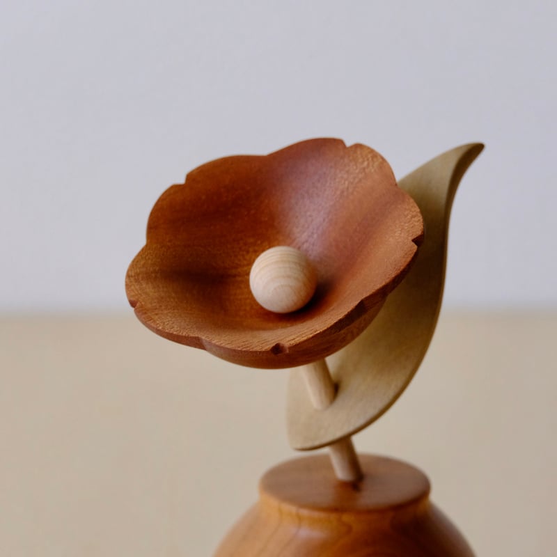 kikka ツバキ | 大石浩介